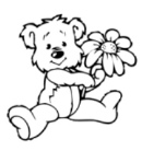 Teddy flower